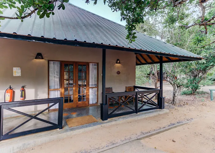 Cinnamon Wild Yala